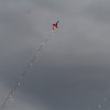 Aviation